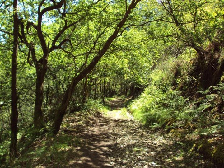 Albergue Valle Del Nonaya Salas  Kültér fotó